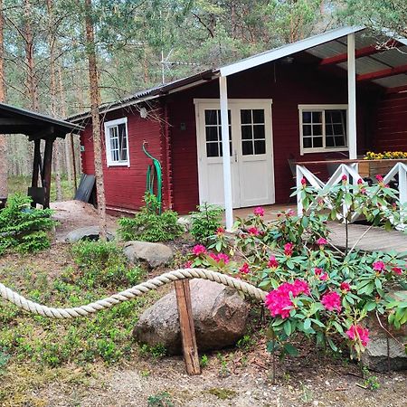 Rannaküla Nova Madise Guesthouse מראה חיצוני תמונה