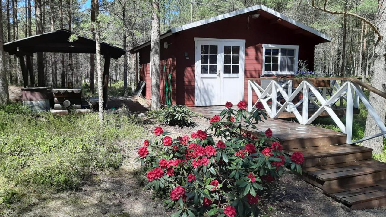 Rannaküla Nova Madise Guesthouse מראה חיצוני תמונה